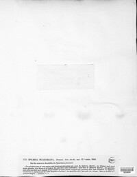 Cainia desmazieri image